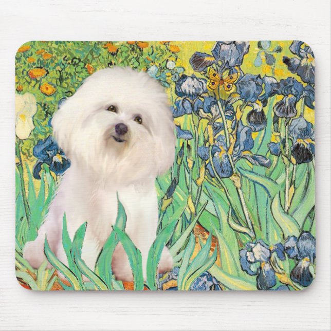 Tapis De Souris Bichon Frise 4 - Irises (Devant)