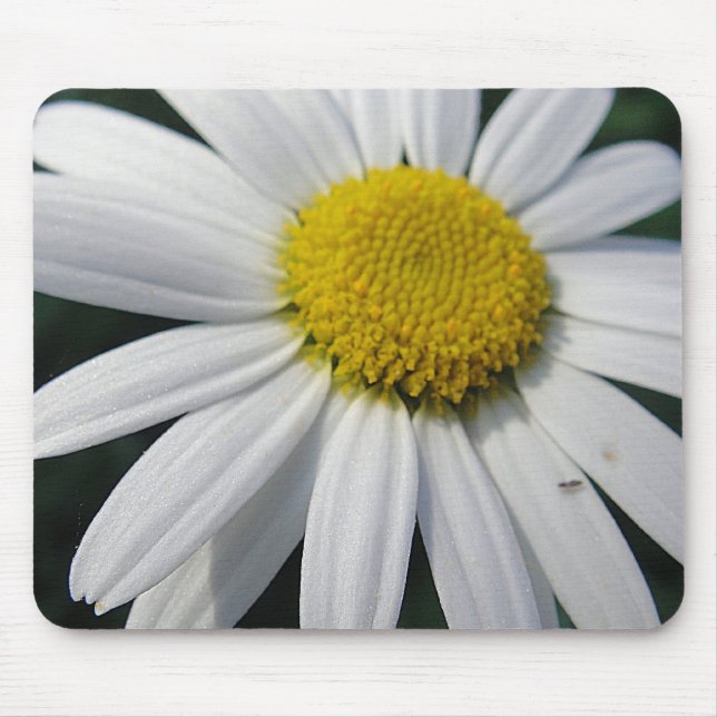 Tapis De Souris Big Daisy (Devant)