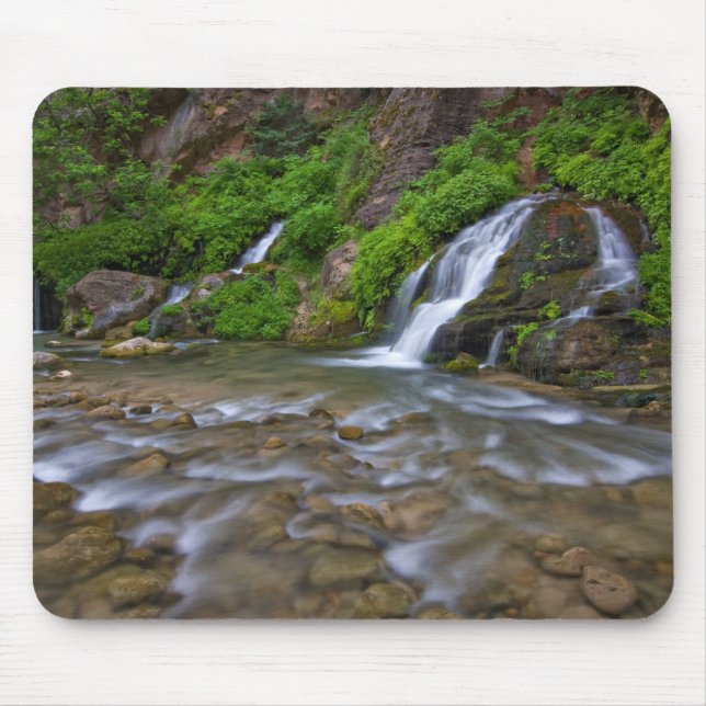 Tapis De Souris Big Springs Virgin River | Parc national de Zion (Devant)