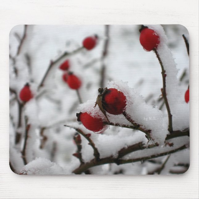 Tapis De Souris big_winter (Devant)