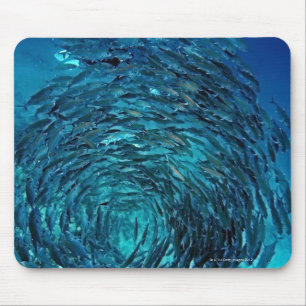Tapis De Souris Bigeye trevally (sexfasciatus de Caranx), nageant