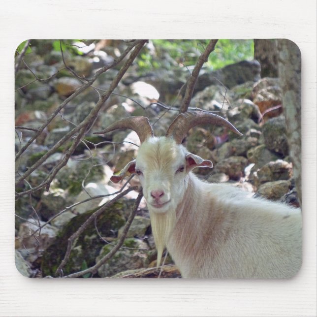 Tapis De Souris Billy Goat (Devant)