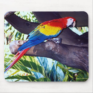 TAPIS DE SOURIS BIRDIE