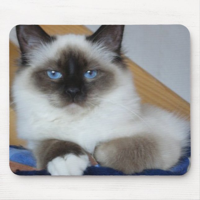Tapis De Souris birman 2.png (Devant)