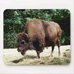 Tapis De Souris Bison