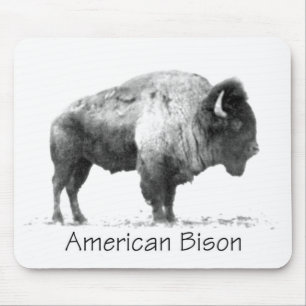 Tapis De Souris Bison américain