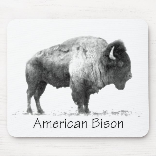 Tapis De Souris Bison américain (Devant)
