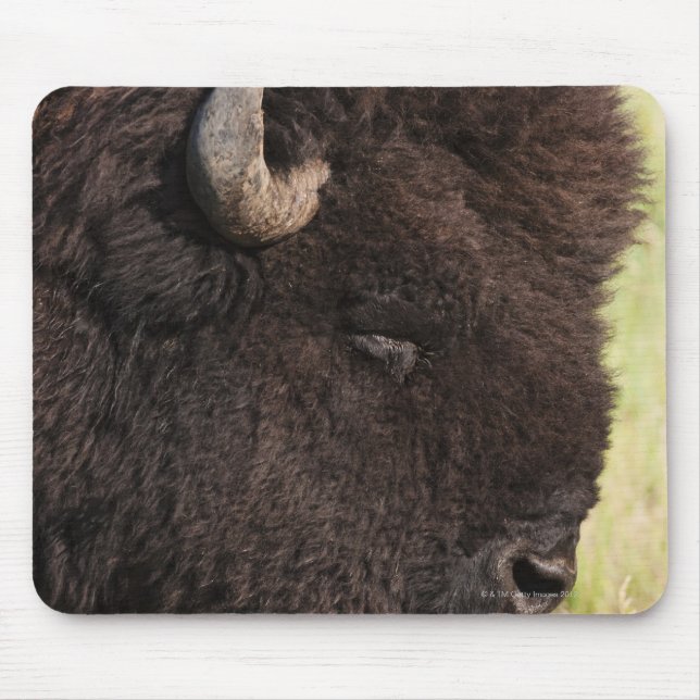 Tapis De Souris Bison américain, Dakota du Sud (Devant)