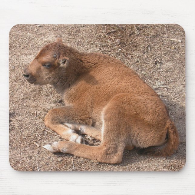 Tapis De Souris Bison Calf (Devant)