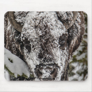 Tapis De Souris Bison couvert de neige Grand Teton