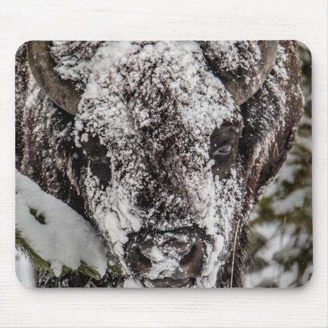 Tapis De Souris Bison couvert de neige Yellowstone (Devant)
