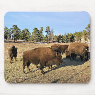 Tapis De Souris Bison dans le Colorado