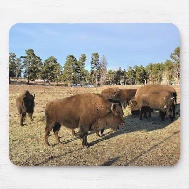 Tapis De Souris Bison dans le Colorado (Devant)