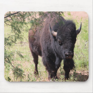Tapis De Souris Bison de près