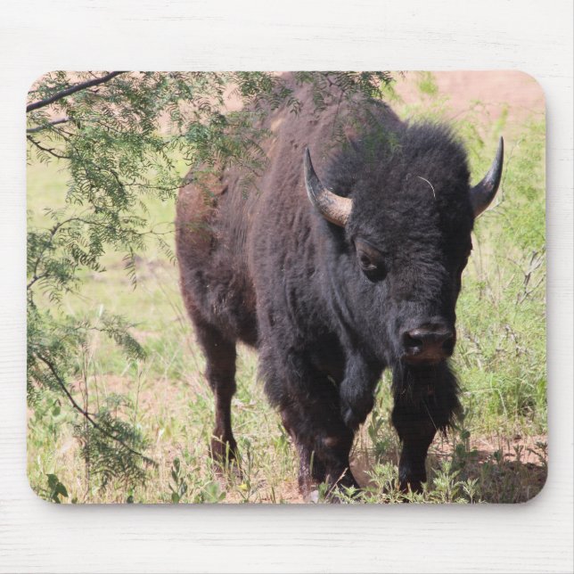 Tapis De Souris Bison de près (Devant)