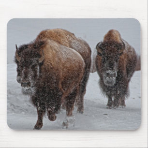 Tapis De Souris Bison de Yellowstone