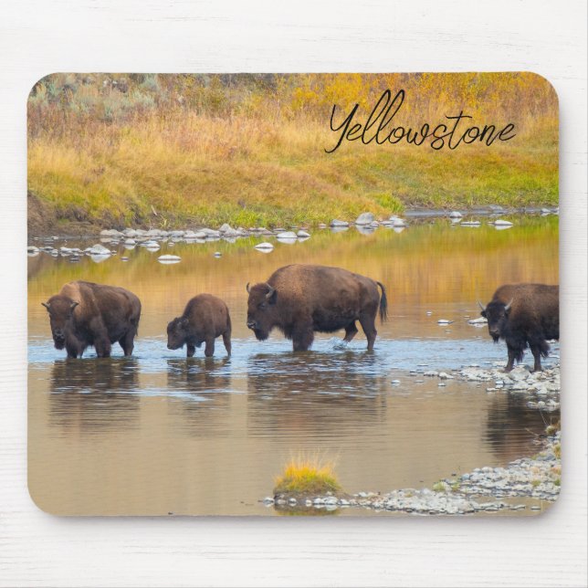 Tapis De Souris Bison River Crossing Parc national de Yellowstone (Devant)
