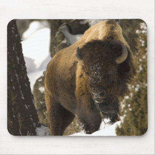 Tapis De Souris Bison Taureau de Yellowstone en hiver - customisé