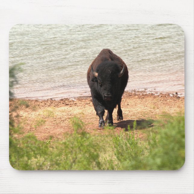 Tapis De Souris Bisons au bord de l'eau (Devant)