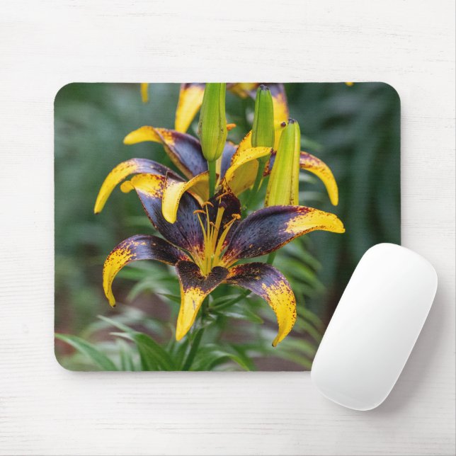Tapis De Souris Black Asiatic Lily, Dark Floral Photography (Avec souris)