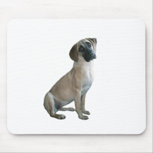 Tapis De Souris Black Mouth Cur #1