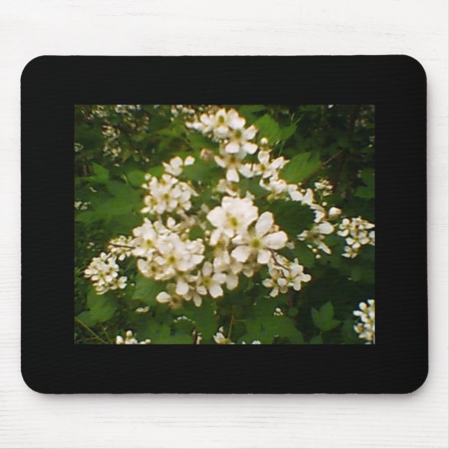 Tapis De Souris Blackberry Blossom (Devant)