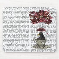 Blackbird Dans Teup