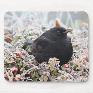 Tapis De Souris Blackbird d'hiver