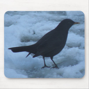 Tapis De Souris Blackbird sur la glace Mousepad