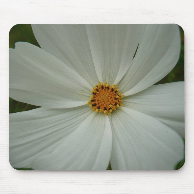 Tapis De Souris Blanc Cosmos Fleur sauvage d'été Floral (Devant)