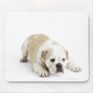 Tapis De Souris Blanc et bouledogue bronzage
