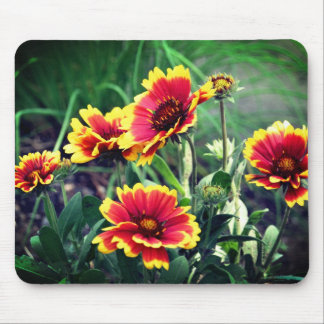 Tapis De Souris Blanket Daisy