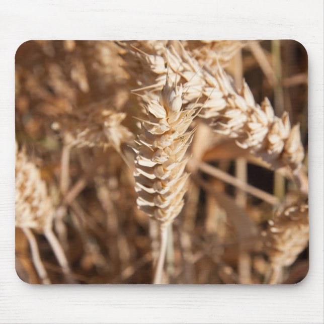 Tapis De Souris Blé (Devant)