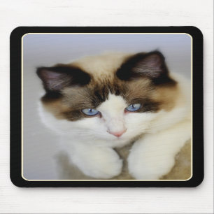 Tapis De Souris Bleu Mousepad de Little Boy