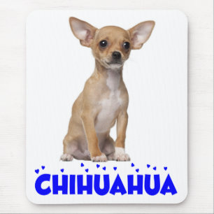 Tapis de souris bleu pour chien canin chiot Chihua