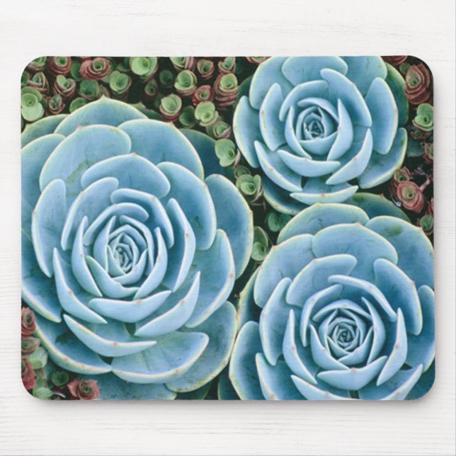 Tapis De Souris Bleus poussiéreux Mousepad (Devant)