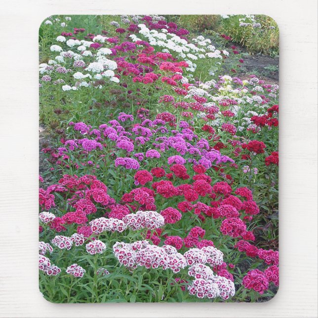 Tapis De Souris Bloc souris (Devant)