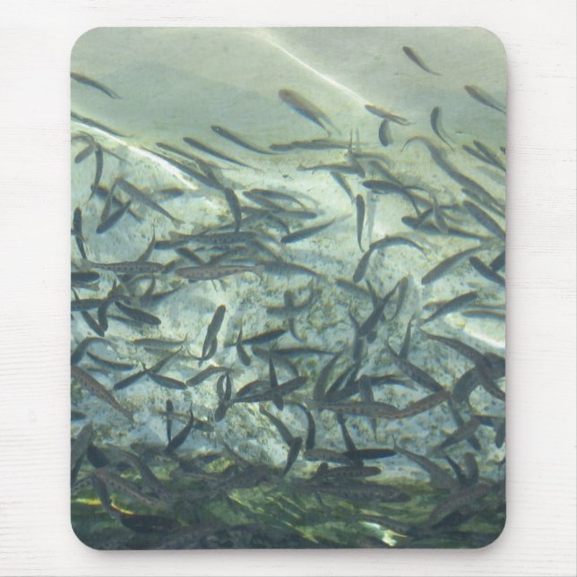 Tapis De Souris Bloc souris (Devant)