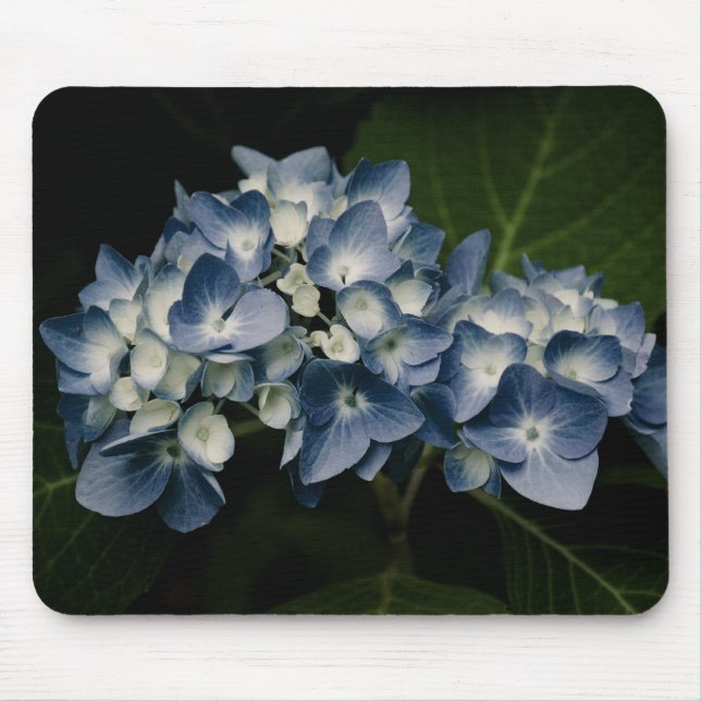 Tapis De Souris Blue Hydrangea 8514 Mousepad (Devant)