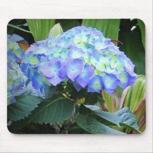 Tapis De Souris Blue Hydrangeas Fleurs Floral Nature Photographie