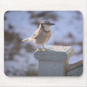 Tapis De Souris Blue Jay