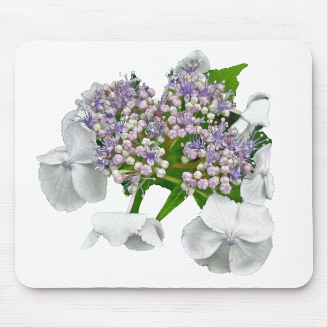 Tapis De Souris Blue Lace Hydrangea Coordonner les éléments (Devant)