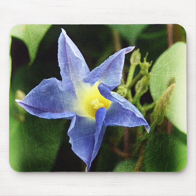 Tapis De Souris Blue Morning Glory Flower (Devant)