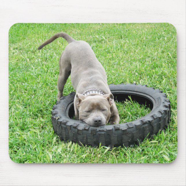 Tapis De Souris Blue Young Stafford Bull Terrier (Devant)