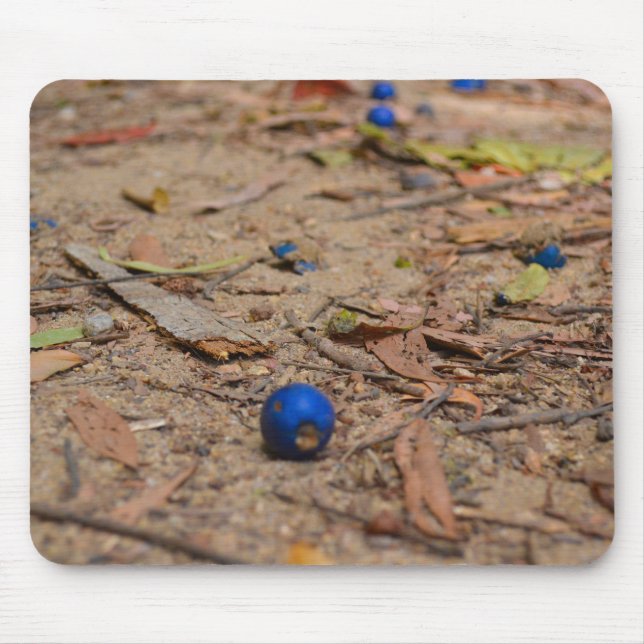 Tapis De Souris Blueberries tombées (Devant)