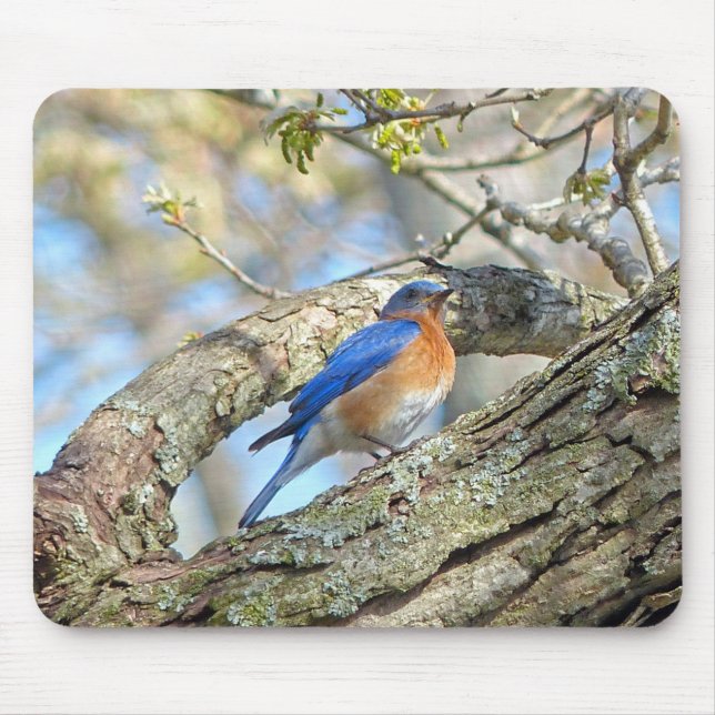 Tapis De Souris Bluebird (Devant)