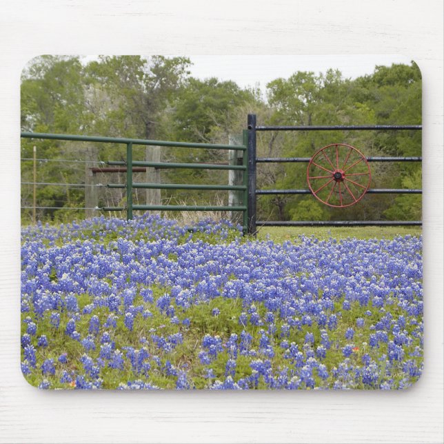 Tapis De Souris Bluebonnets de Texas (Devant)
