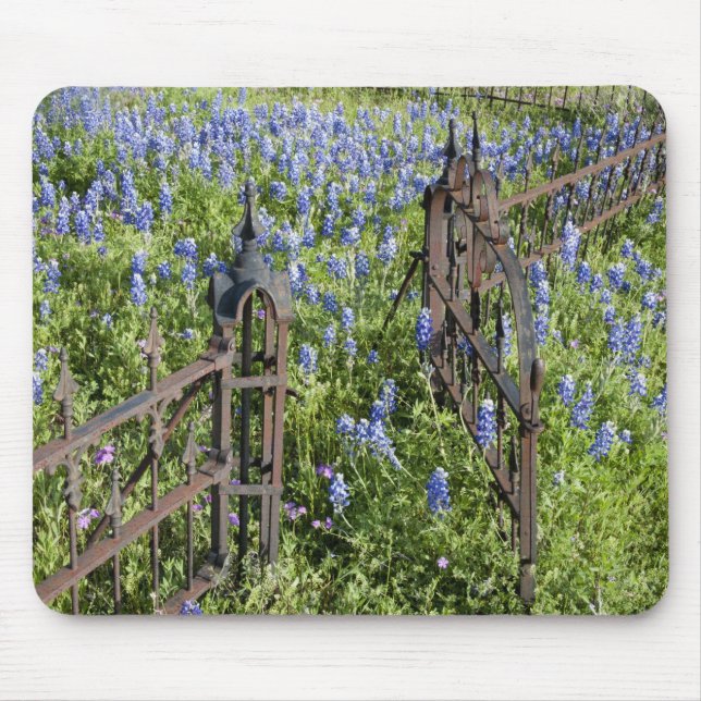 Tapis De Souris Bluebonnets et phlox porte du cimetière environnan (Devant)