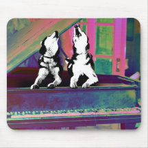Blues de Husky