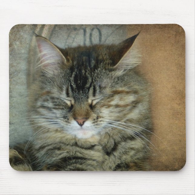 Tapis De Souris Bob le chat (Devant)